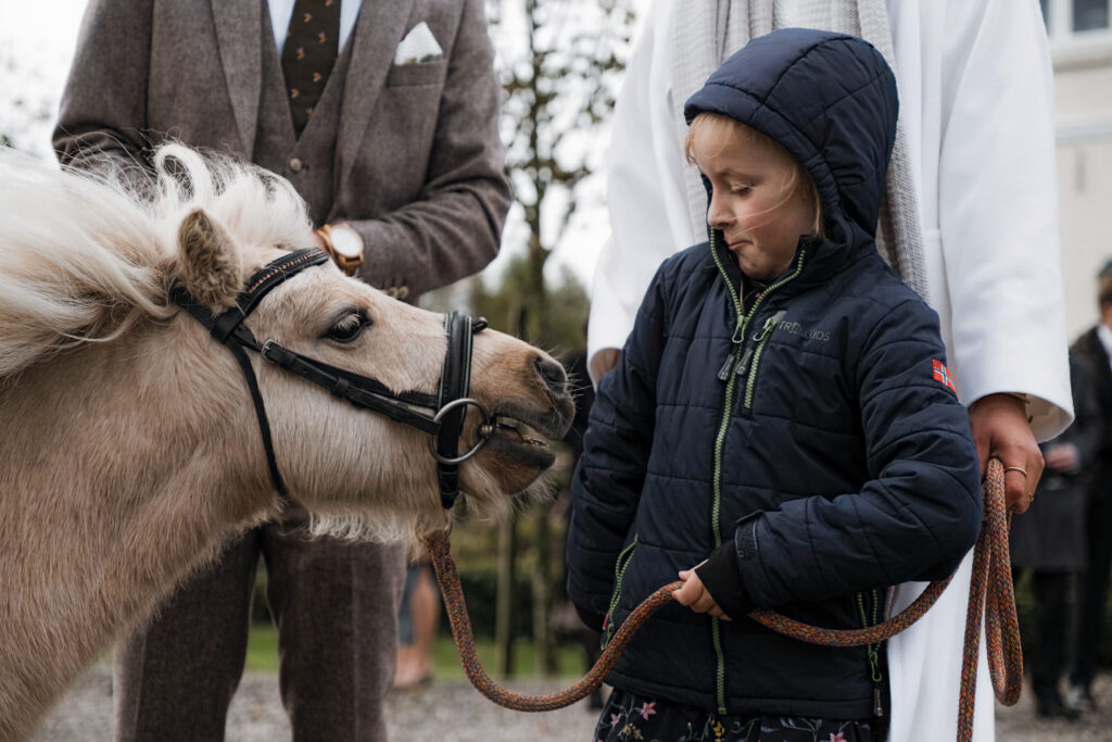 Hochzeitsfotograf Föhr- standesamtliche Trauung- Weingut Waalem- Pony schnuppert am Kind