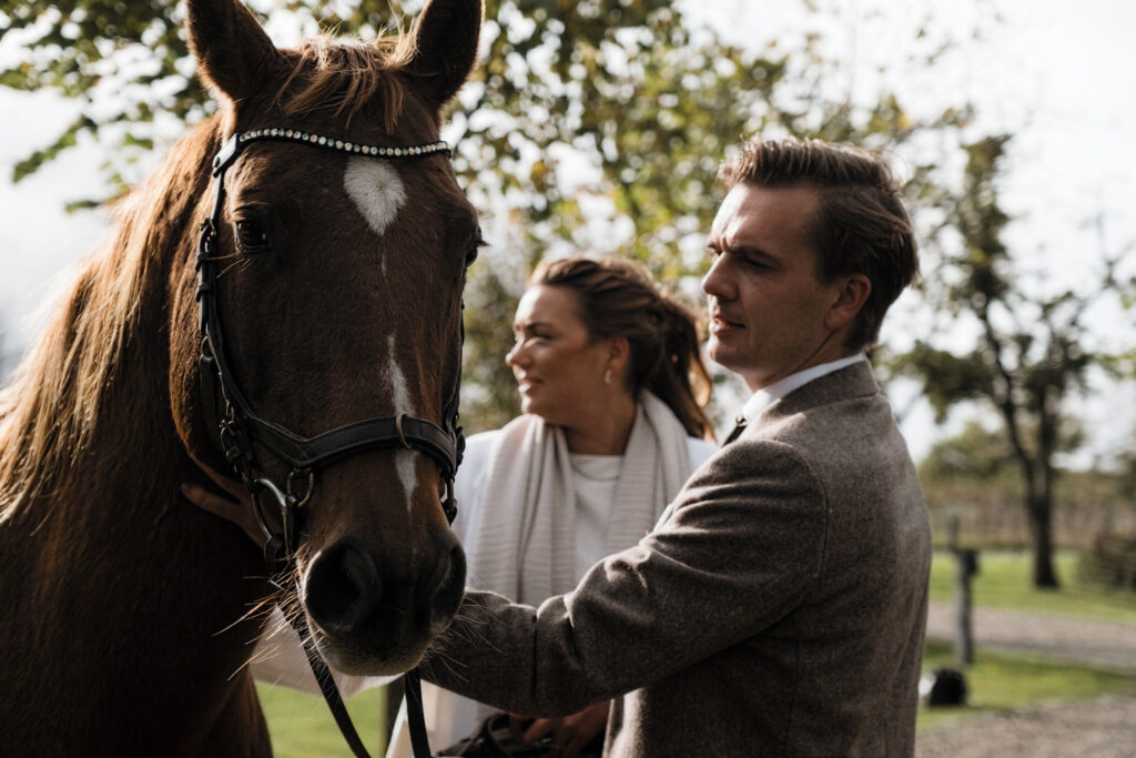 Hochzeitsfotograf Föhr- Hochzeitspaar, Bild mit Pferd