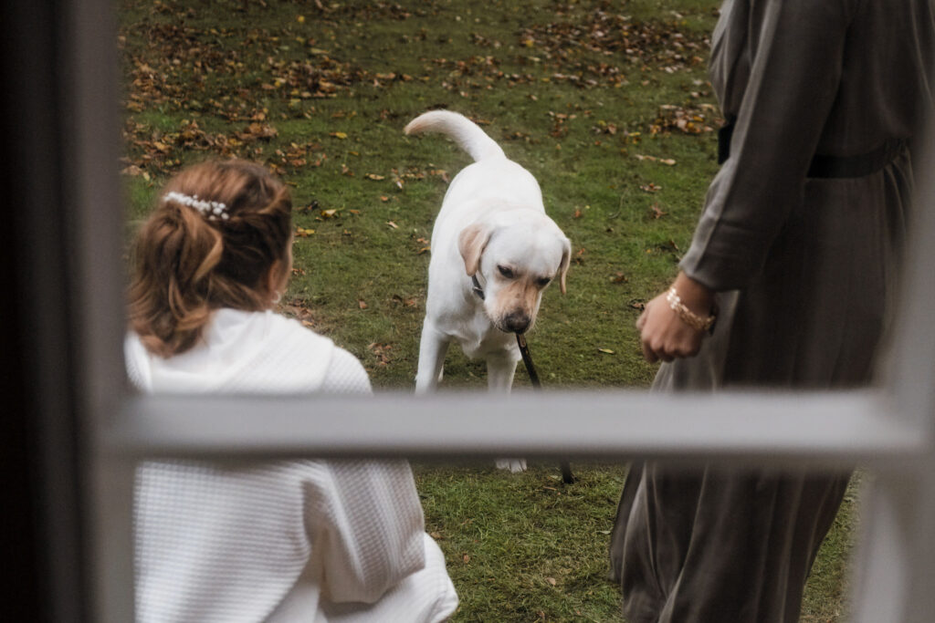 Hochzeitsfotograf Föhr- Getting Ready- spielender Hund des Hochzeitspaares